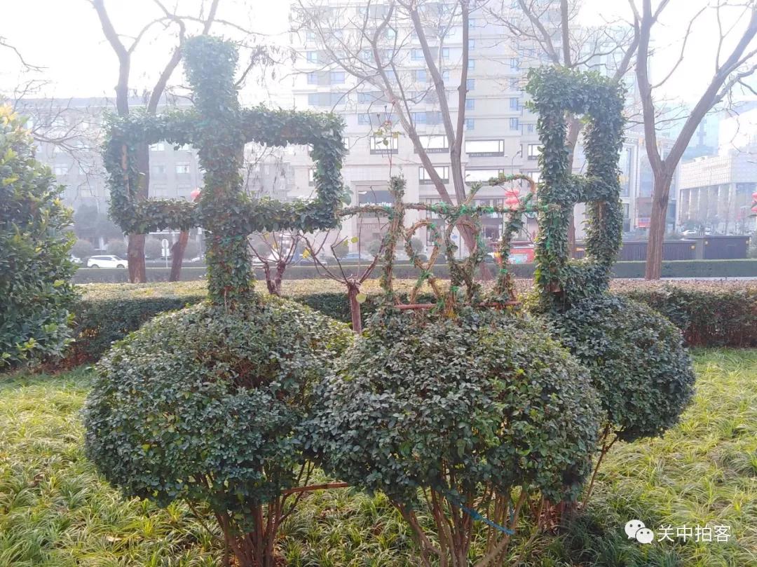 西安城墙脚下:拜谒吉备真备纪念碑园