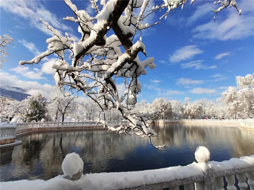 原创太漂亮啦云南曲靖会泽县茚旺高级中学静谧的雪景