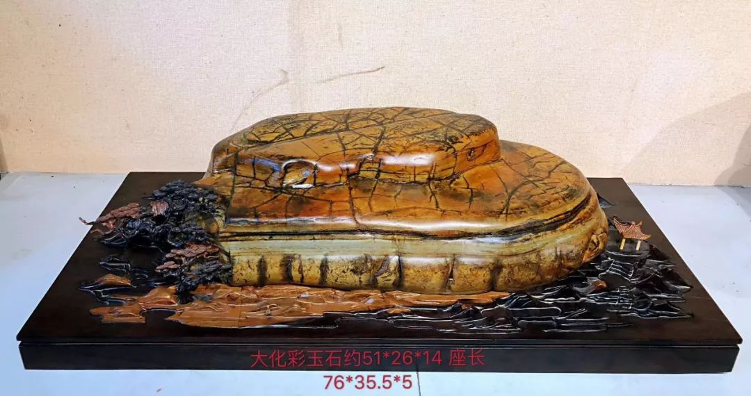 奇石档案藏家专栏-深谷幽兰