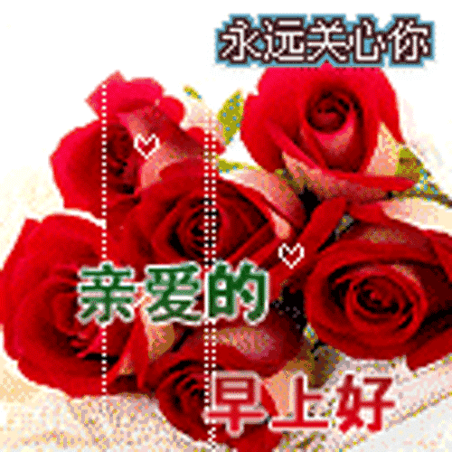 特漂亮的早安鲜花图片超暖心的清晨问候语大全