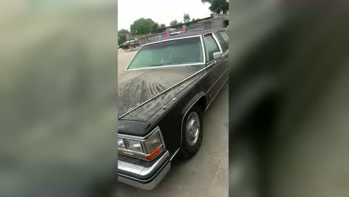 1985年的凯迪拉克高级轿车这气势在当年一点不输劳斯莱斯