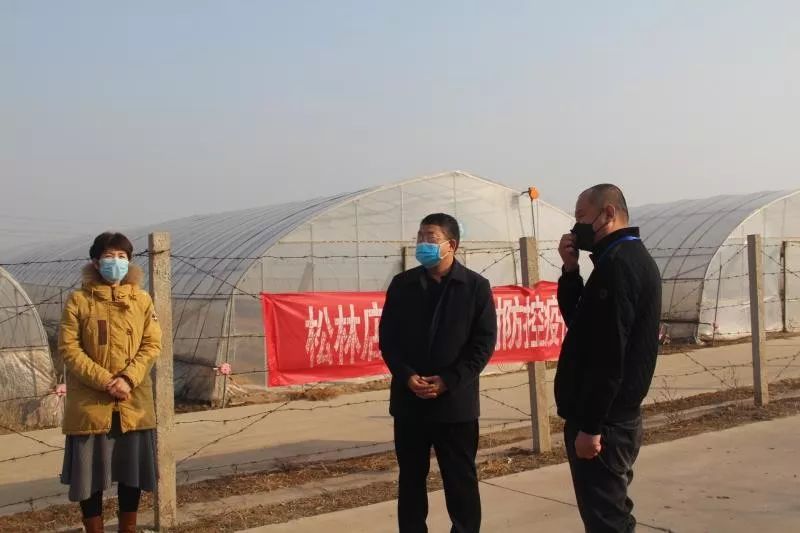 市人大常委会主任刘俊禹副主任王爱军到松林店镇指导防疫工作