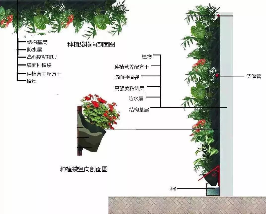 墙面绿化构造图片