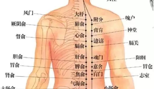 未病先防春天刮肝经无病一身轻