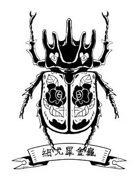 这一波甲虫很潮很范很惊讶