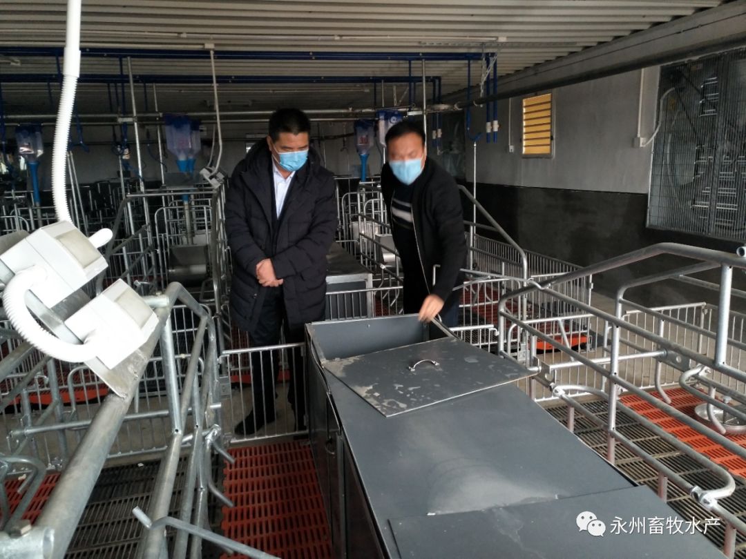 新田刘大兵深入养殖企业调研指导疫情防控和复工复产工作