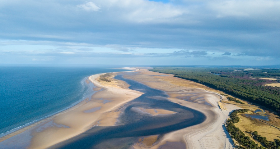 疫情正成为家电业的分水岭：加速产业升级、品牌消费、渠道集中-家电圈官网