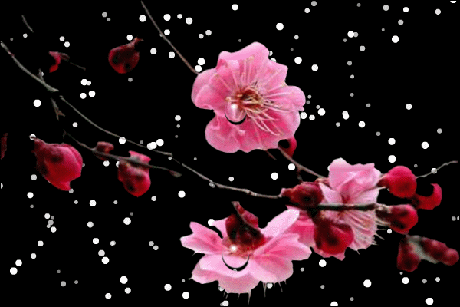 460_307gif 动态图 动图