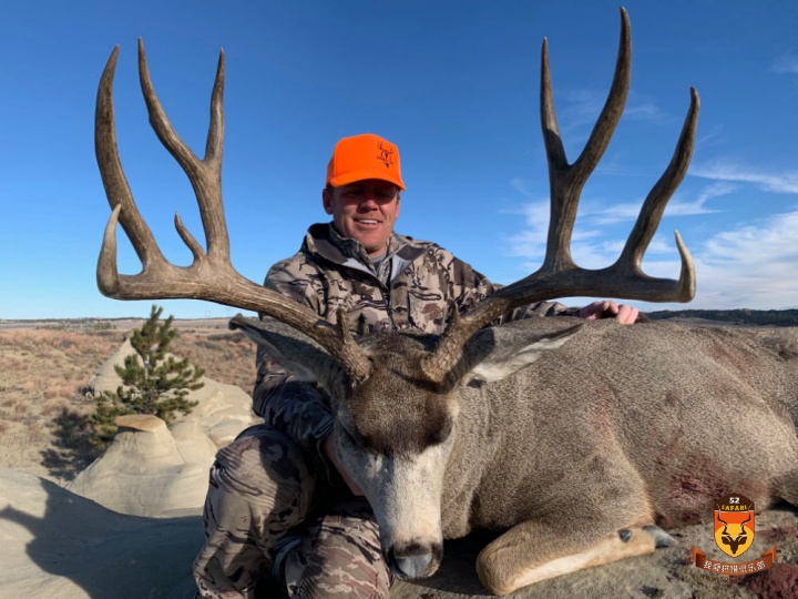 2020年美国蒙大拿鹿弓猎3月15日之前放票