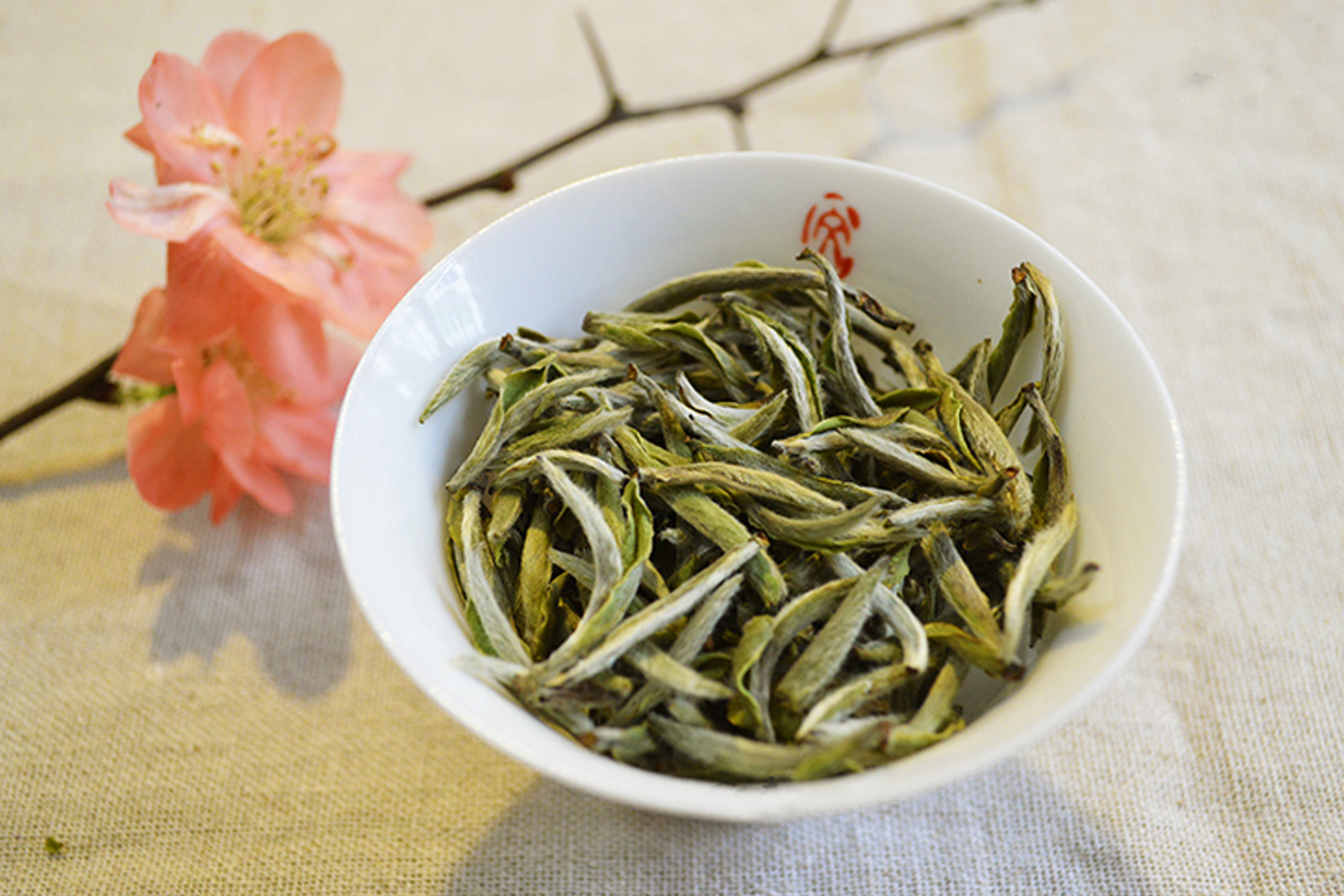 白茶—少年白茶,有如少年儿童.