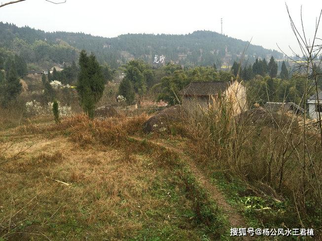 原創風水寶地太師椅形雙峰迎主風水大師王君植四川成都看風水尋龍實拍