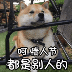 适合单身狗情人节专用表情包尽管秀恩爱明年还是这个人算我输