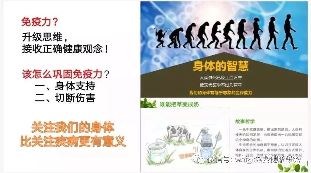 免疫力掀起线上健康产业的财富浪潮