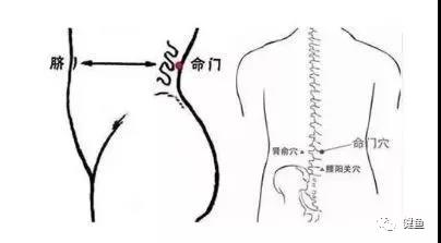肚脐与剑突之间位置图图片