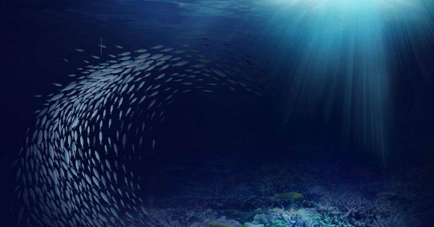 带着菌菌去流浪微生物研究新方向get