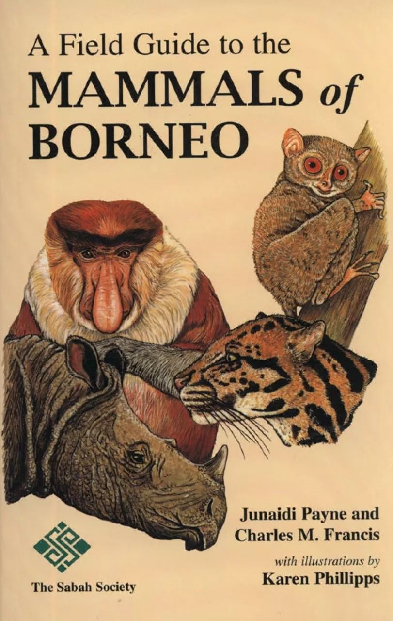 费嘉伦走了她是众多观鸟者和画者的启蒙人