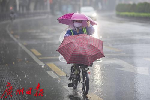 2月16日,大雨转多云,8～16℃(白天最高12℃);2月17日,多云间晴,7