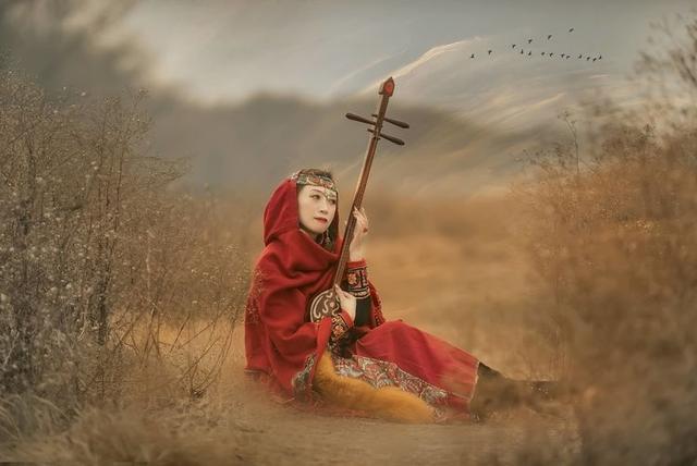 芦苇枯黄雁南飞异域佳人弹胡琴