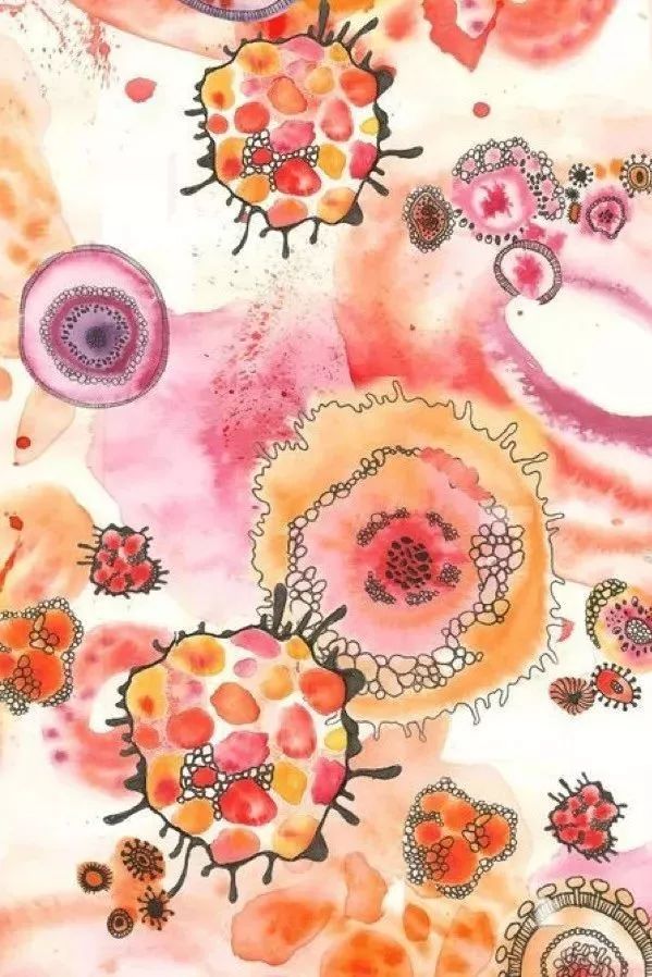 家里卷筒纸用完后剩下的小芯芯,居然可以变身绘画的小工具,还有多种不