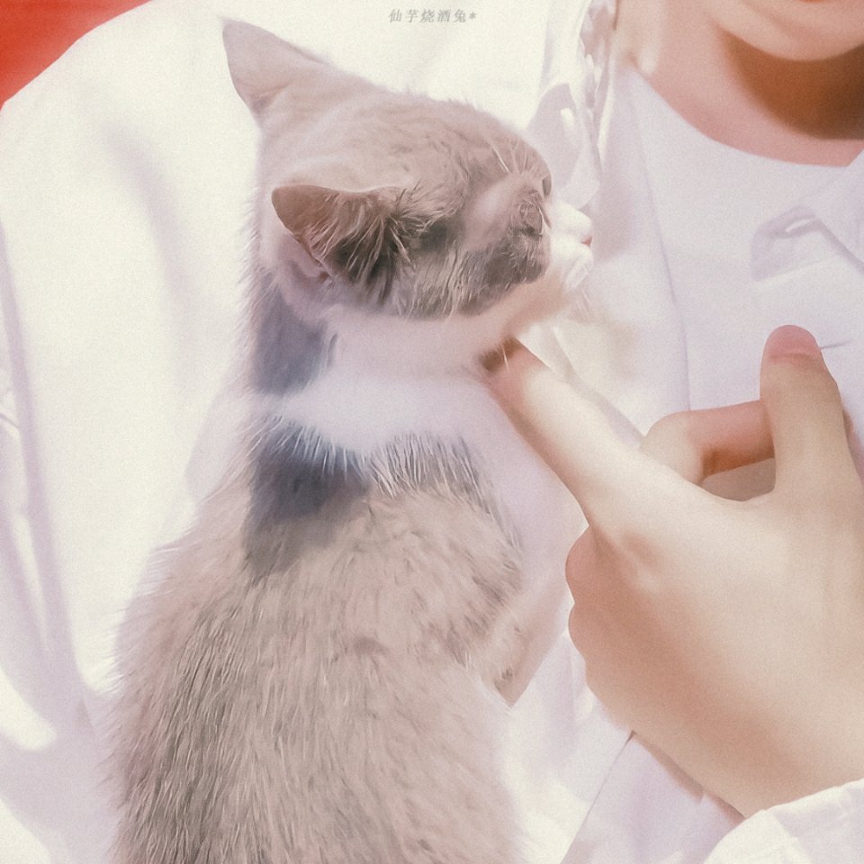 王俊凯系列情头合集甜甜蜜蜜好可爱