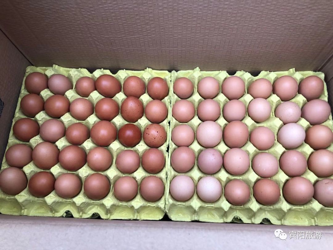 携手战疫共克时艰宾阳文广体旅局助农销售7750斤鸡蛋