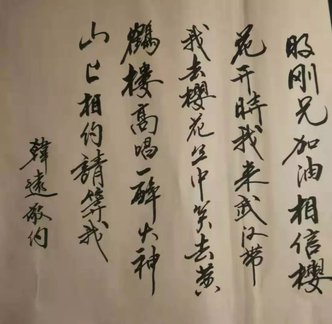 武汉封城日记第21天相约去武汉看樱花