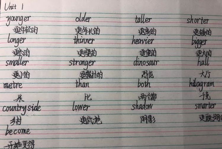 第三节英语课,我朗读完潘老师布置的英语,自我要求背诵并默写英语单词