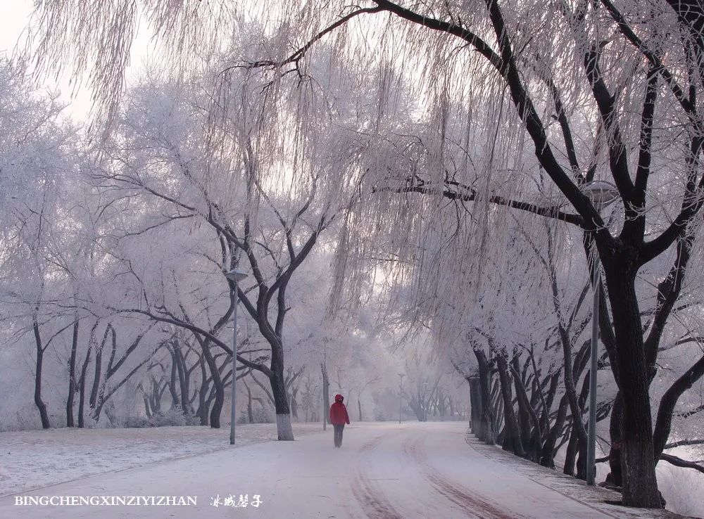 飘雪的哈尔滨