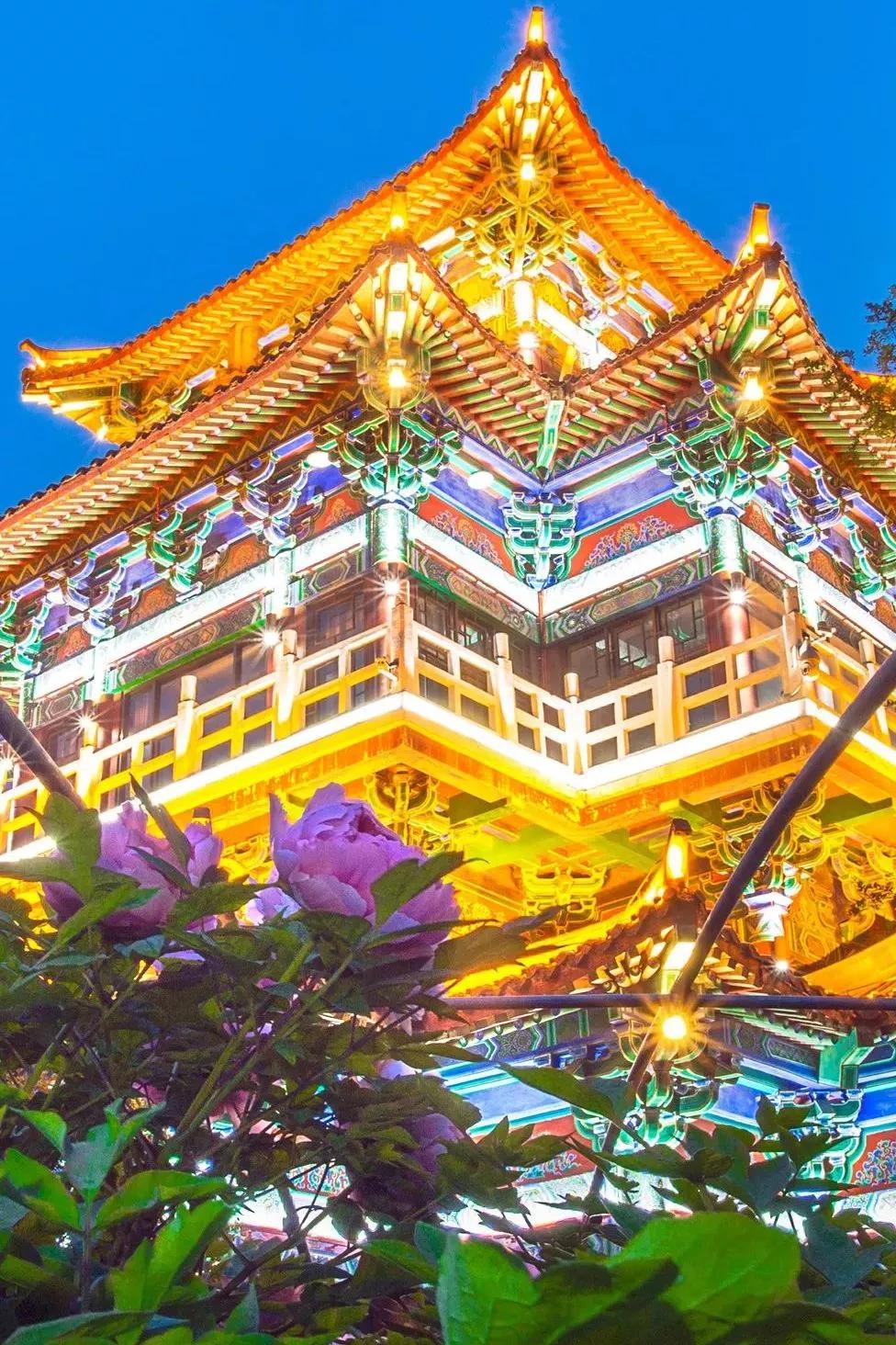 【洛阳裕得】洛阳,我想你了_牡丹