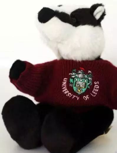 ic泰迪熊除了帽衫,吉