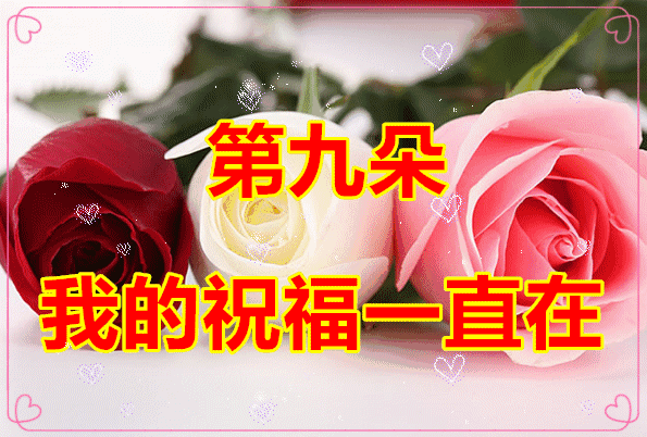 明天214情人节,9朵爱的玫瑰送给在乎的你,愿你开心幸福