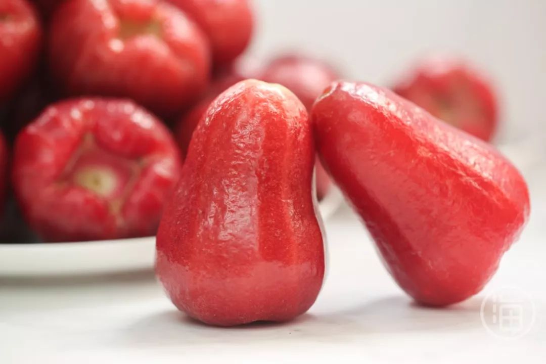 95元5斤装黑金刚莲雾长在树上的矿泉水外皮比纸还薄