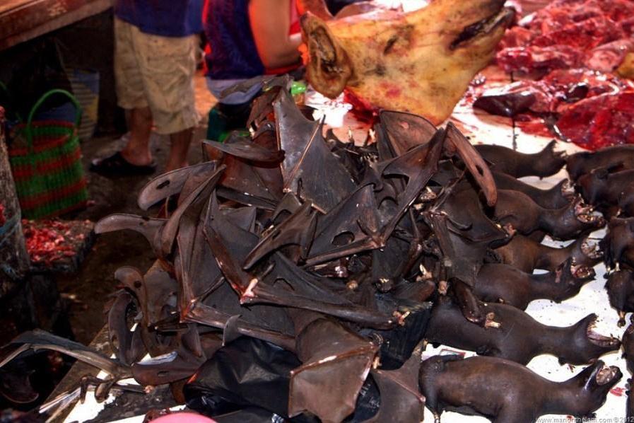 根据非洲联盟疾病预防和控制中心主任介绍,鉴于非洲