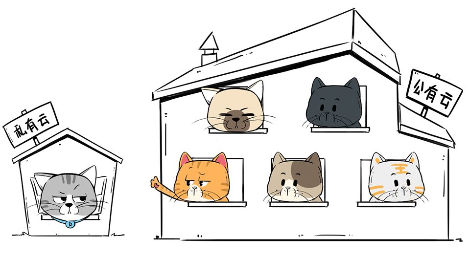 猫和云计算,有毛关系?