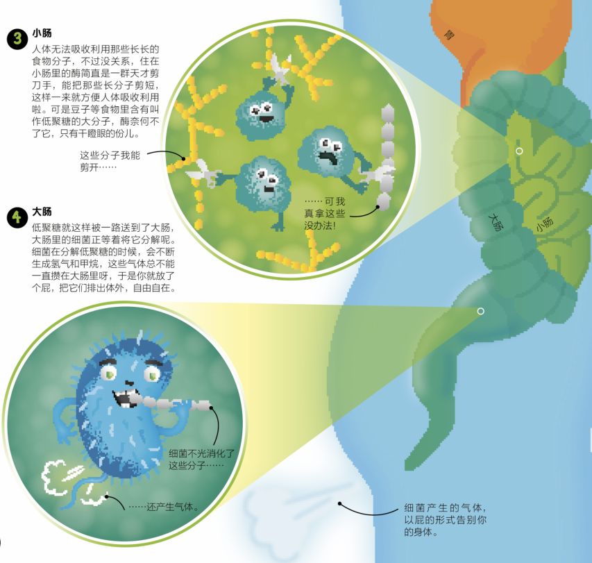 解读病毒与药物这四本书带你全面了解微生物对人类的影响