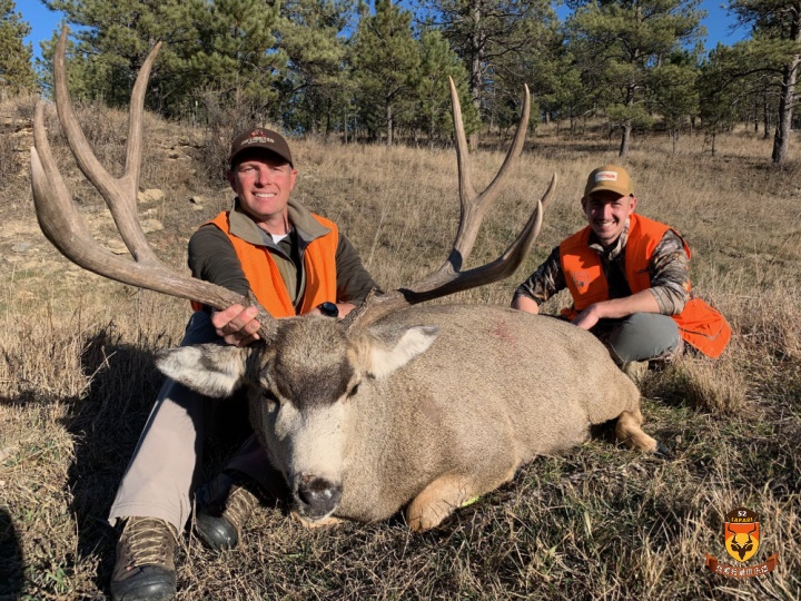 2020年美国蒙大拿鹿弓猎3月15日之前放票