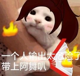 王者荣耀不知火舞获评最完美伤害高浑身群控一套带走