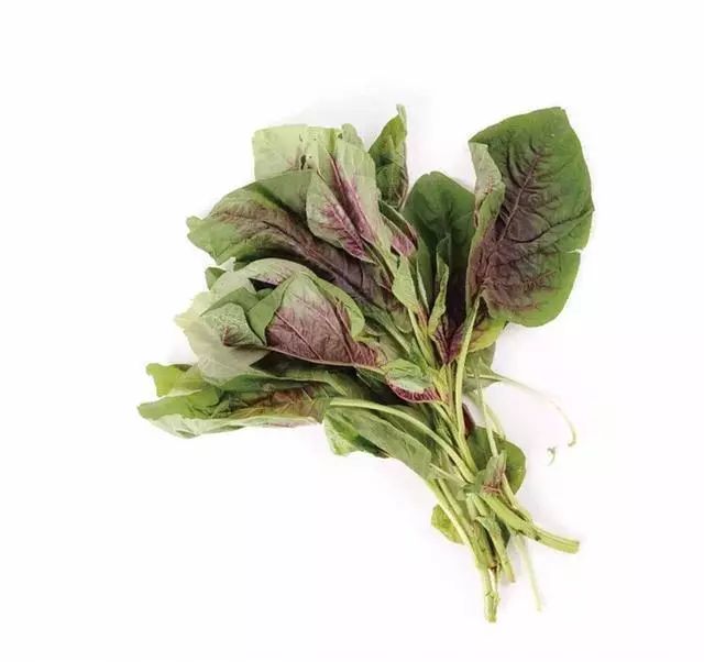 红苋菜丨润肠清热草头是江南地区对金花菜的叫法,学名苜蓿,是清凉性的