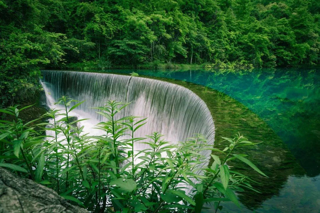 淋一场烟雨遇一场花事春天就在不远处