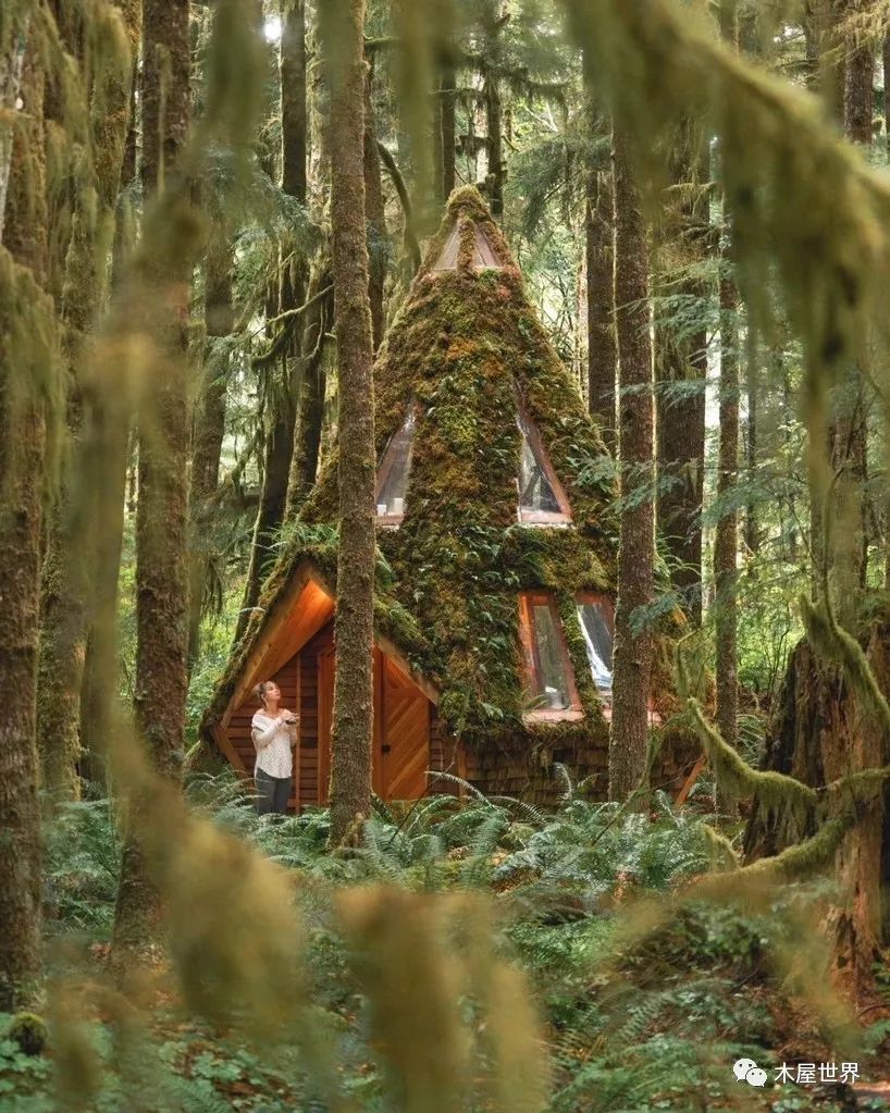 梦幻般的森林小木屋
