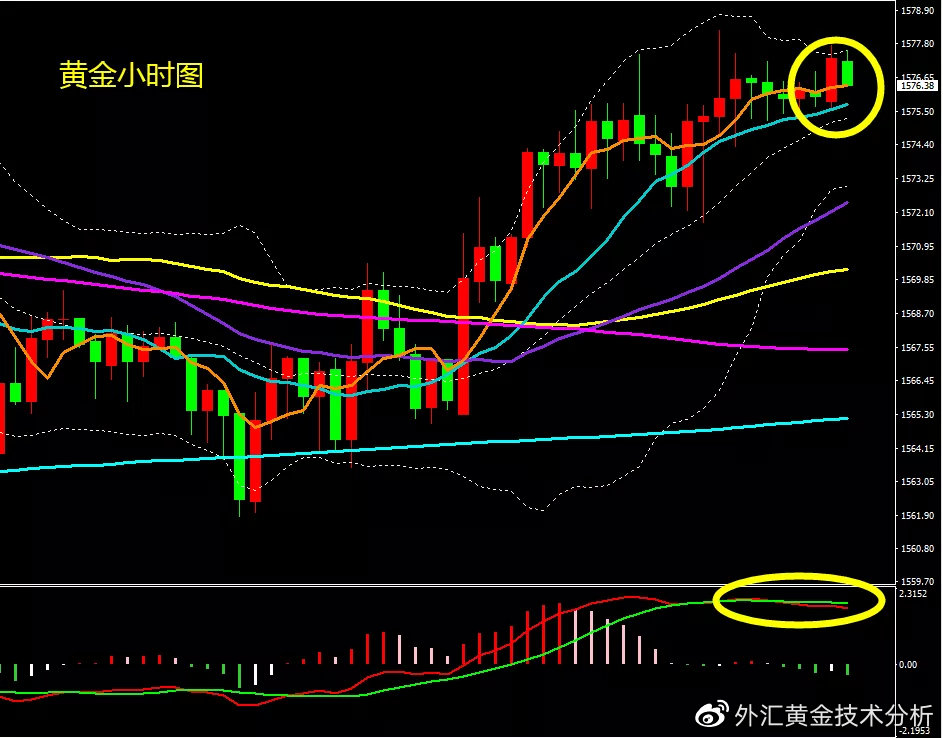 2020年2月14号黄金分析