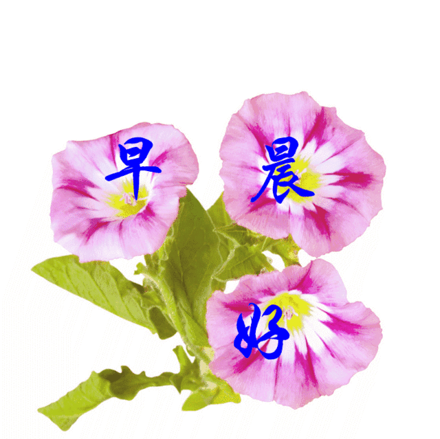 人生需要一种淡然,生命更需要减负,早安_问候