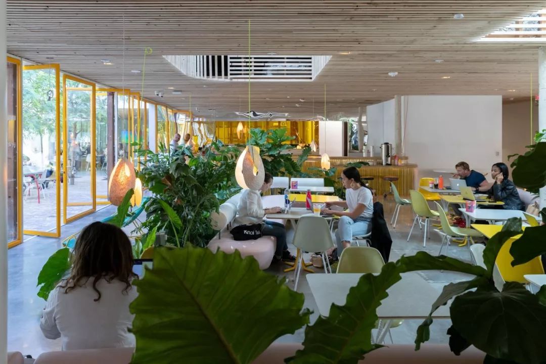 这样的花园式办公360都是自然风景