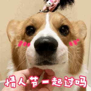 214情人节专用表情包想过特别甜的那种礼物方案我都想好了