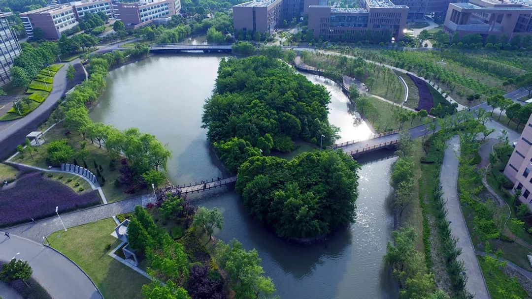 告别旧景树木蓊郁 乐声悠扬笑着打量骄阳下军训的"树苗"绿藤依偎着