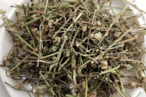 原创癌症的"救命道草"终于被发现,乡下到处都是,抗癌防癌更长寿!