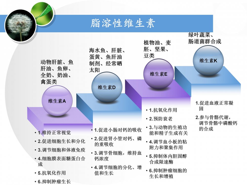 脂溶性維生素主要是維生素a,d,e,k;水溶性維生素主要是b族維生素和