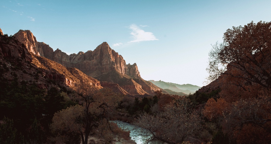 中国企业正成为社会“压舱石” ：阿里美的华为腾讯带头冲在一线-家电圈官网