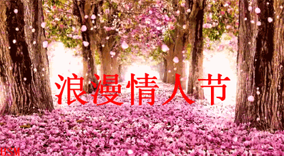 今日情人节祝福你节日快乐愿天下有情人成眷属