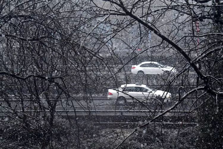 雪落京城一北京今晨雨夹雪白天有中到大雪